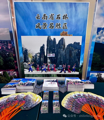 创新驱动发展 石林风景名胜区荣获中国旅游景区协会创新发展案例奖，助力国内旅游升级